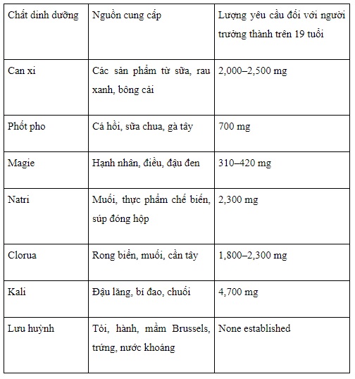 Vi chất dinh dưỡng: Phân loại, chức năng 4